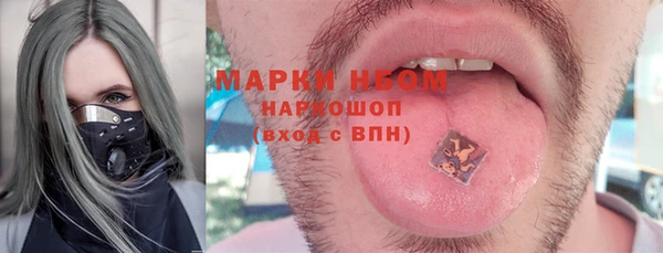 Альфа ПВП Новозыбков