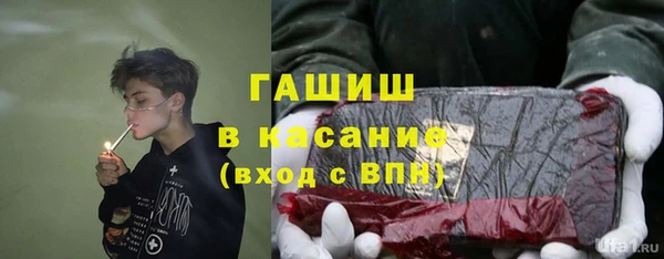 шишки Новокубанск