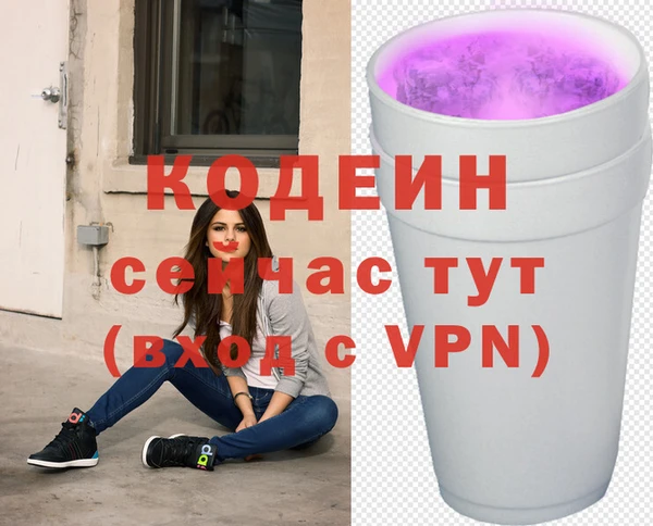 шишки Новокубанск