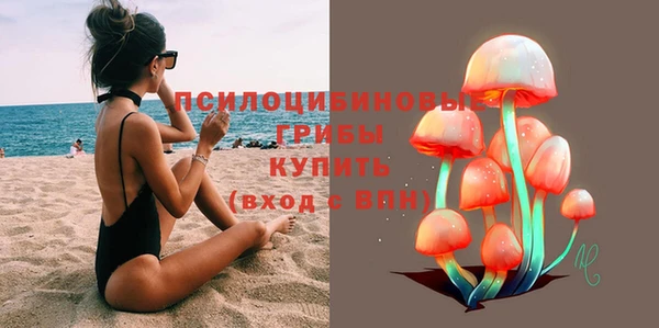 шишки Новокубанск