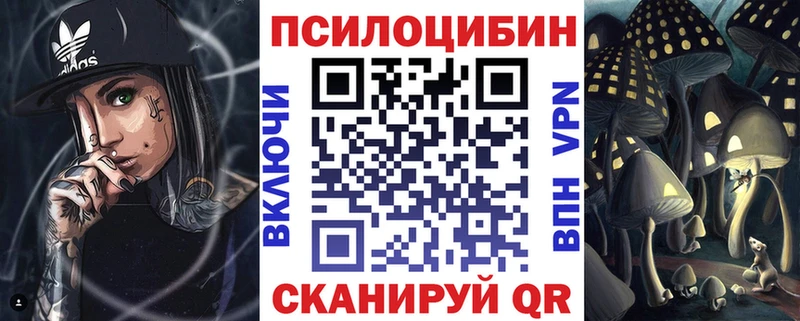 Галлюциногенные грибы прущие грибы  Купить закладки  Ставрополь 
